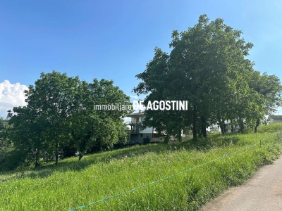 immagine annuncio 5 di 7