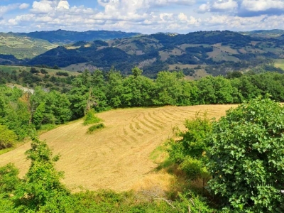 immagine annuncio 8 di 9