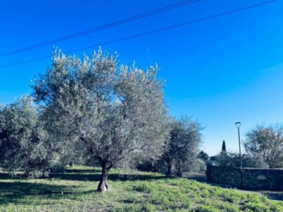 immagine annuncio 6 di 9