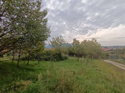 immagine annuncio 2 di 6