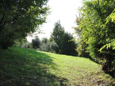immagine annuncio 3 di 9
