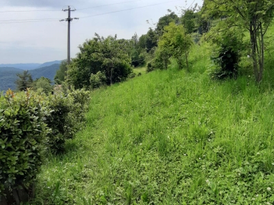 immagine annuncio 2 di 9