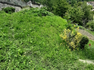 immagine annuncio 6 di 9
