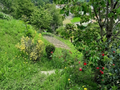 immagine annuncio 7 di 9