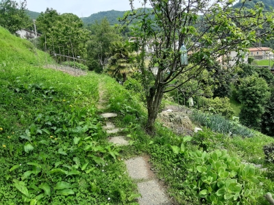 immagine annuncio 8 di 9