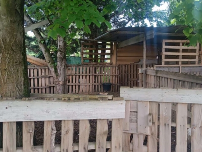 immagine annuncio 5 di 9