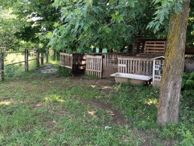 immagine annuncio 8 di 9