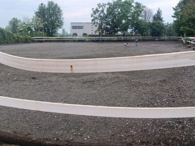 immagine annuncio 4 di 9