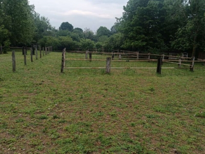 immagine annuncio 2 di 9