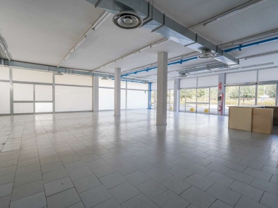 immagine annuncio 3 di 9