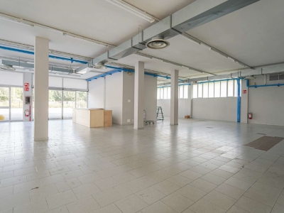 immagine annuncio 5 di 9