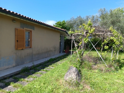 immagine annuncio 6 di 9