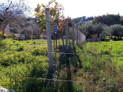 immagine annuncio 4 di 9
