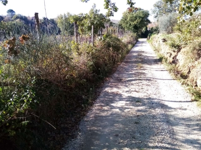 immagine annuncio 6 di 9