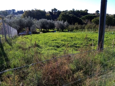immagine annuncio 7 di 9