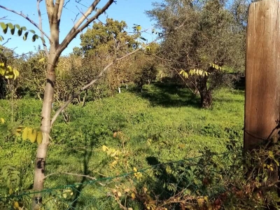 immagine annuncio 8 di 9