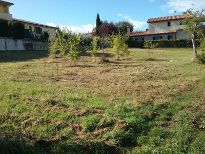 immagine annuncio 4 di 9