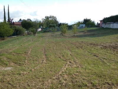 immagine annuncio 8 di 9
