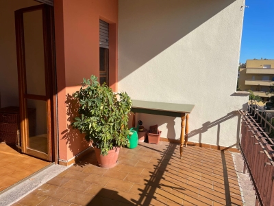 immagine annuncio 6 di 9