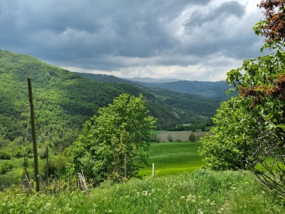immagine annuncio 1 di 4