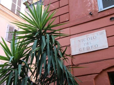 immagine annuncio 1 di 7