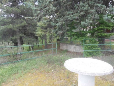 immagine annuncio 3 di 9