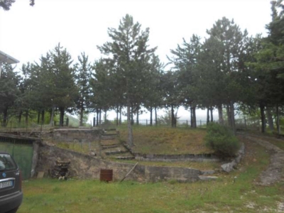 immagine annuncio 4 di 9