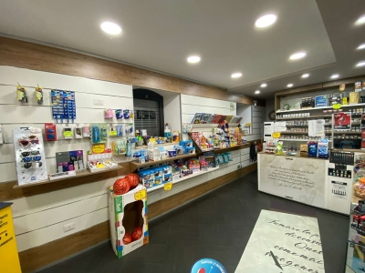 immagine annuncio 3 di 9