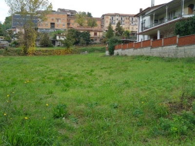 immagine annuncio 2 di 4