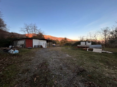 immagine annuncio 2 di 4