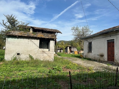 immagine annuncio 1 di 7