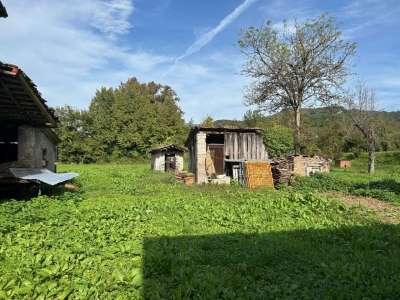 immagine annuncio 3 di 7