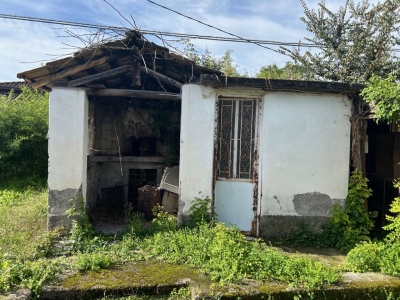 immagine annuncio 5 di 7