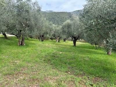 immagine annuncio 1 di 3