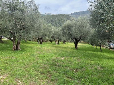 immagine annuncio 2 di 3