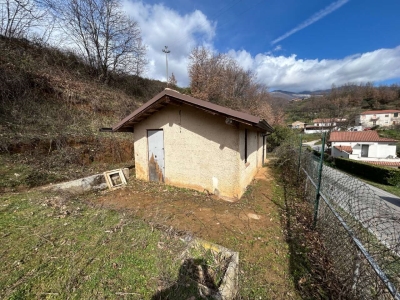 immagine annuncio 1 di 9