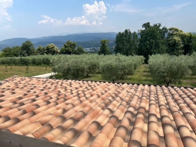 immagine annuncio 5 di 9