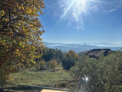 immagine annuncio 5 di 9