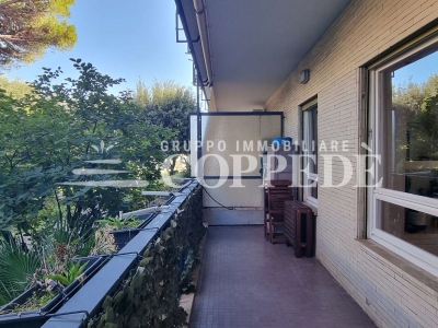 immagine annuncio 2 di 9