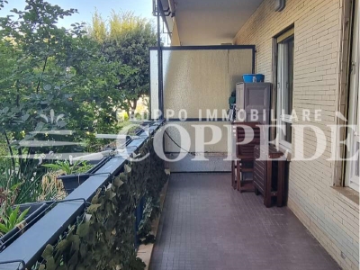 immagine annuncio 3 di 9