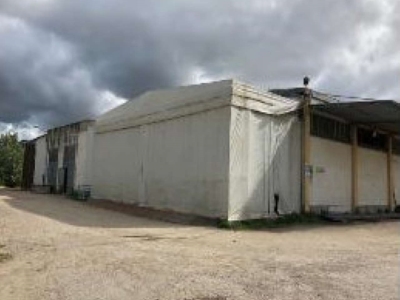 immagine annuncio 3 di 9