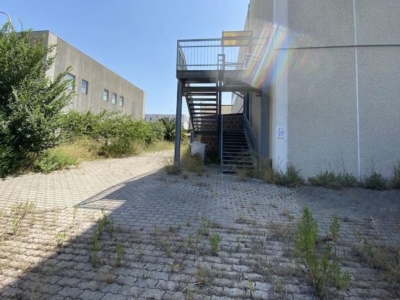 immagine annuncio 5 di 9