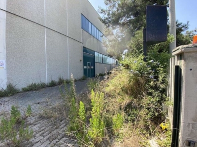 immagine annuncio 6 di 9