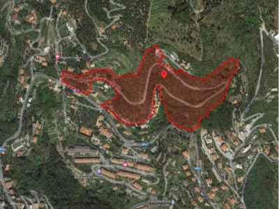 immagine annuncio 3 di 9