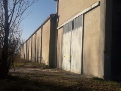 immagine annuncio 5 di 9