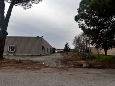 immagine annuncio 2 di 9
