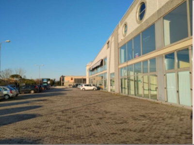 immagine annuncio 3 di 9