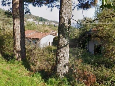 immagine annuncio 2 di 9