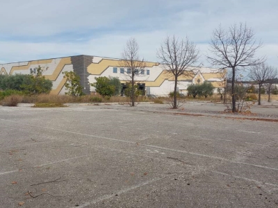 immagine annuncio 6 di 9