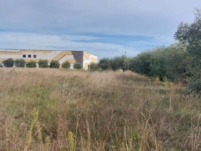 immagine annuncio 8 di 9